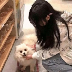 英雄之境官方